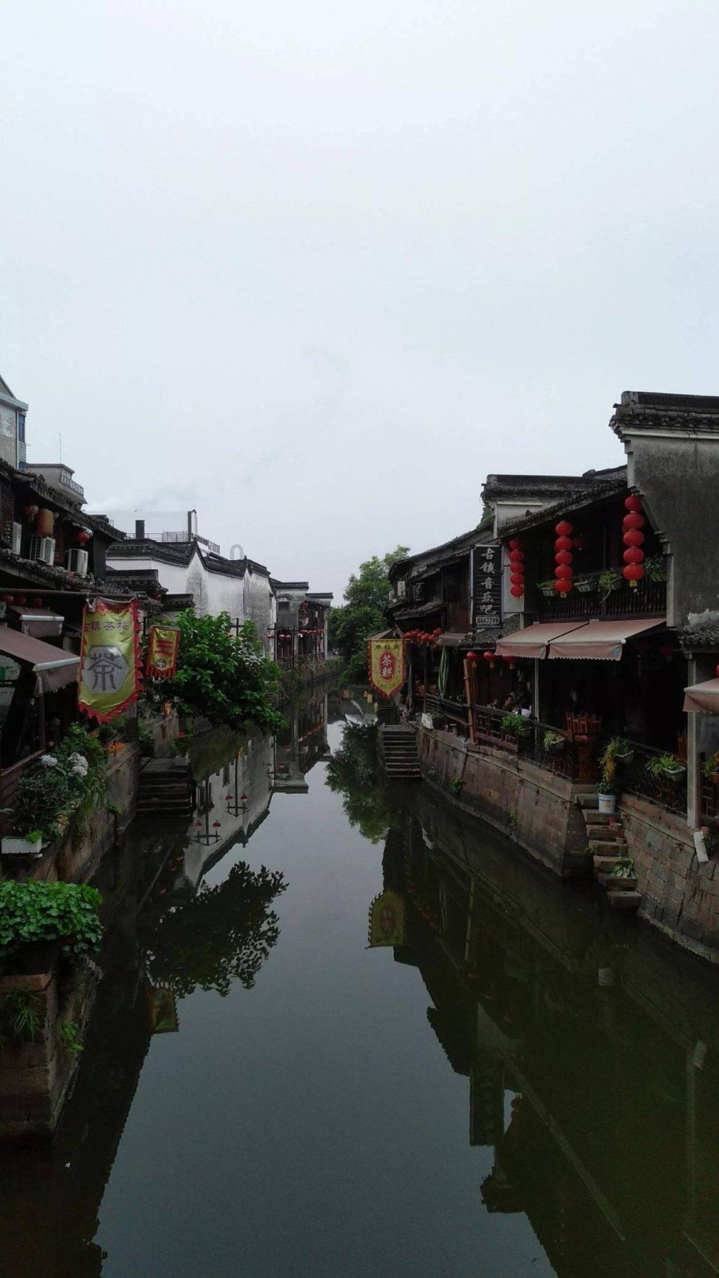 僵尸女友爱爬树