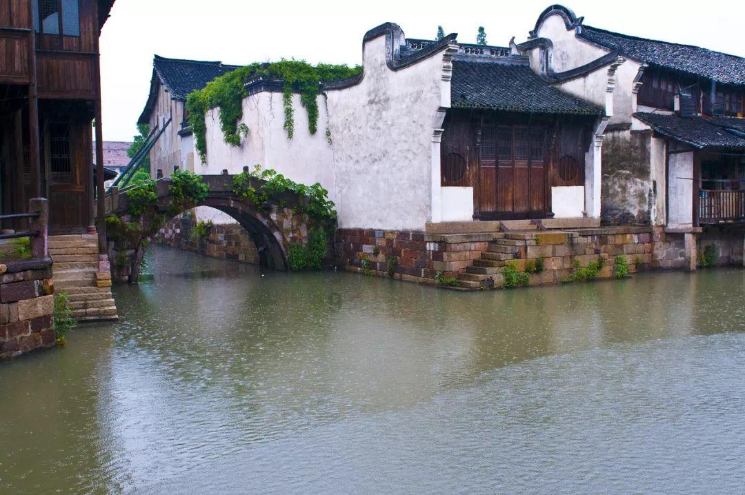 小僵尸消消看
